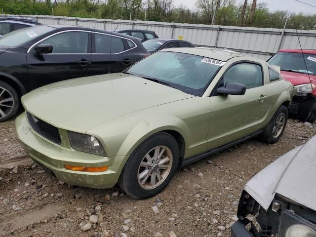 2005 Ford Mustang