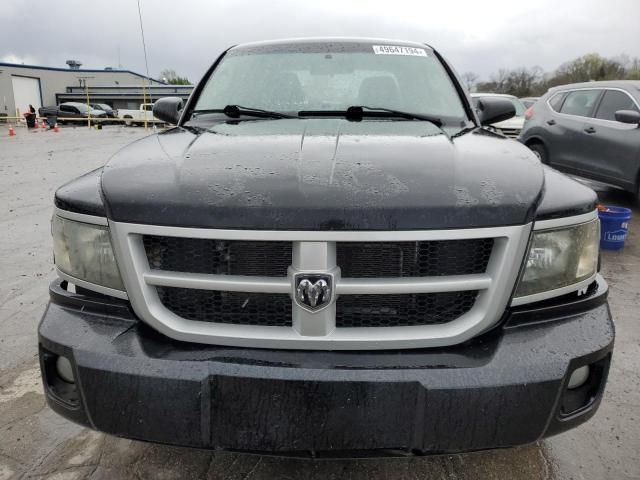 2011 Dodge Dakota SLT