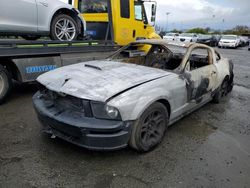 Salvage cars for sale at Vallejo, CA auction: 2007 Ford Mustang GT