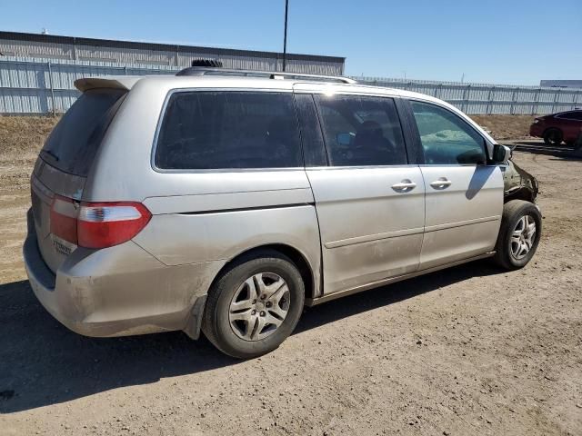 2005 Honda Odyssey Touring