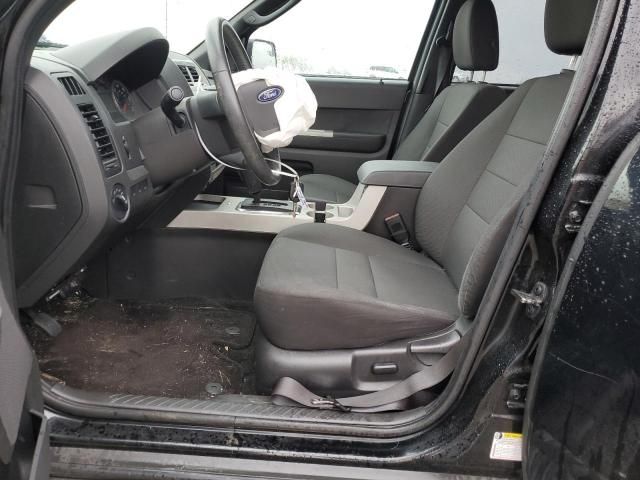 2012 Ford Escape XLT