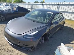 Salvage cars for sale at Sacramento, CA auction: 2023 Tesla Model 3