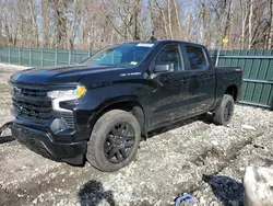 Salvage cars for sale from Copart Candia, NH: 2024 Chevrolet Silverado K1500 RST