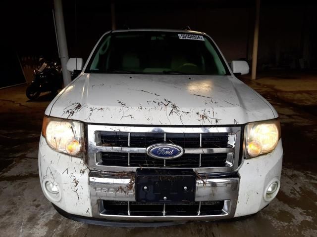 2009 Ford Escape Limited