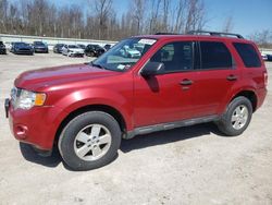 Salvage cars for sale from Copart Leroy, NY: 2010 Ford Escape XLT
