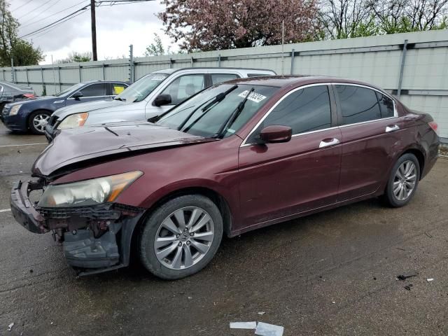 2011 Honda Accord EXL