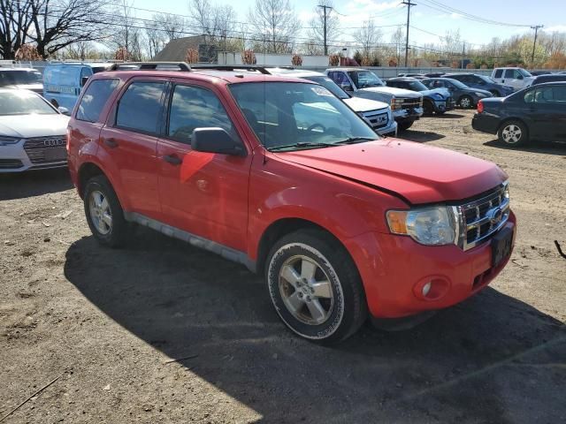 2009 Ford Escape XLT