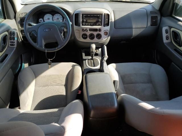 2005 Ford Escape XLT