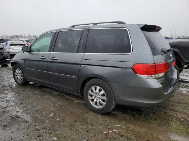 2009 Honda Odyssey EXL