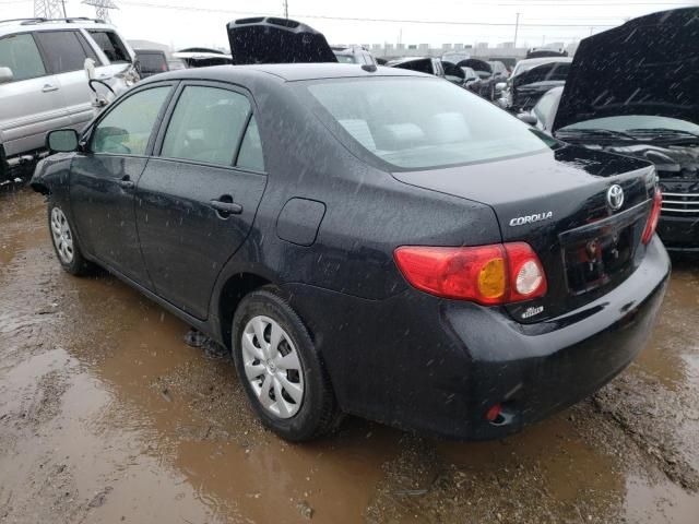 2010 Toyota Corolla Base