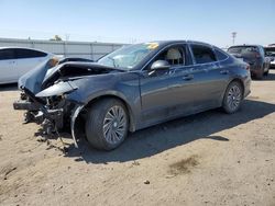 Salvage cars for sale at Bakersfield, CA auction: 2023 Hyundai Sonata Hybrid