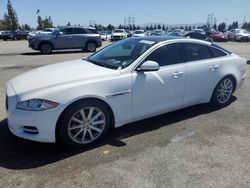 Salvage cars for sale at Rancho Cucamonga, CA auction: 2014 Jaguar XJ