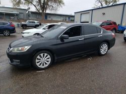 Salvage cars for sale at Albuquerque, NM auction: 2013 Honda Accord EXL