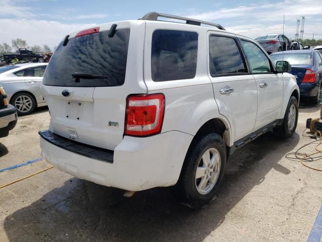 2010 Ford Escape XLT