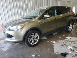 Salvage cars for sale at Franklin, WI auction: 2013 Ford Escape SEL