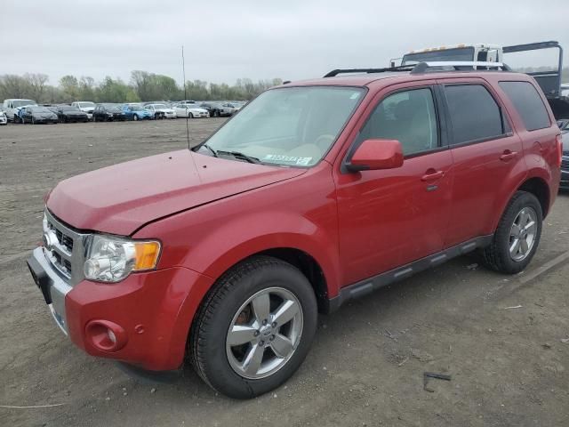 2010 Ford Escape Limited