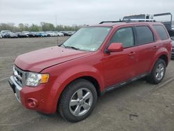 Salvage cars for sale from Copart Cahokia Heights, IL: 2010 Ford Escape Limited