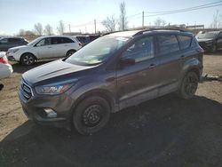 Salvage cars for sale from Copart Montreal Est, QC: 2019 Ford Escape SE