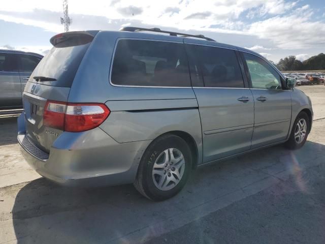 2005 Honda Odyssey EXL