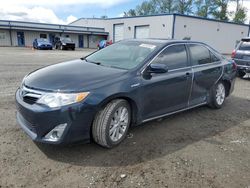 Toyota Camry Hybrid salvage cars for sale: 2013 Toyota Camry Hybrid