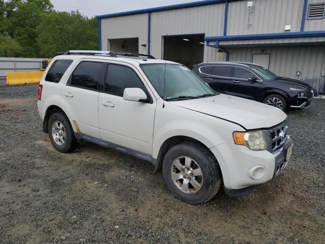 2010 Ford Escape Limited