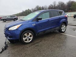 Salvage cars for sale from Copart Brookhaven, NY: 2013 Ford Escape SE