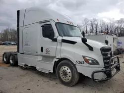 Salvage Trucks for sale at auction: 2022 Freightliner Cascadia 126