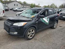 Salvage cars for sale at York Haven, PA auction: 2016 Ford Escape SE