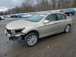Salvage cars for sale at Ellwood City, PA auction: 2014 Honda Accord EX
