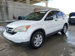 Salvage cars for sale at West Palm Beach, FL auction: 2011 Honda CR-V SE