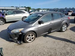 Salvage cars for sale at Harleyville, SC auction: 2013 Ford Focus SE
