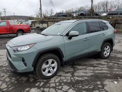 Salvage cars for sale at Marlboro, NY auction: 2021 Toyota Rav4 XLE