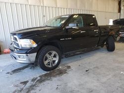 Dodge salvage cars for sale: 2010 Dodge RAM 1500