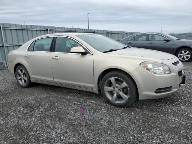 2009 Chevrolet Malibu Hybrid