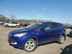 Salvage cars for sale at Des Moines, IA auction: 2013 Ford Escape SE