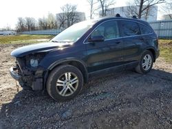 Salvage cars for sale at Central Square, NY auction: 2010 Honda CR-V EXL