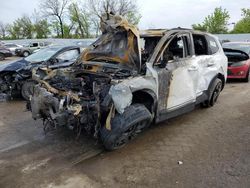 Salvage cars for sale at Bridgeton, MO auction: 2023 KIA Telluride SX