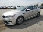 2013 KIA Optima Hybrid