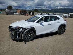 Salvage cars for sale from Copart San Martin, CA: 2019 Lexus UX 200