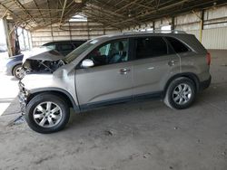 Salvage cars for sale at Phoenix, AZ auction: 2013 KIA Sorento LX