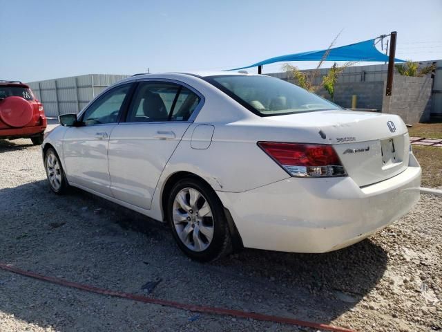 2008 Honda Accord EXL