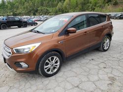 Salvage cars for sale at Hurricane, WV auction: 2017 Ford Escape SE