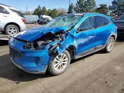 Salvage cars for sale at Denver, CO auction: 2020 Ford Escape SE