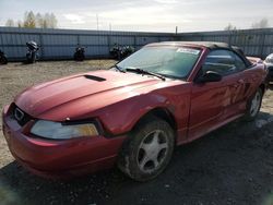 Ford salvage cars for sale: 1999 Ford Mustang GT