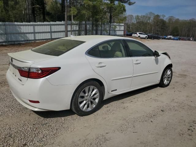 2013 Lexus ES 300H