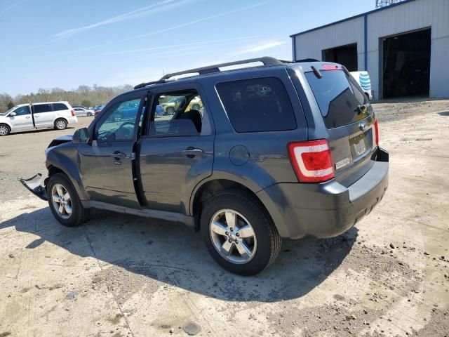 2009 Ford Escape XLT