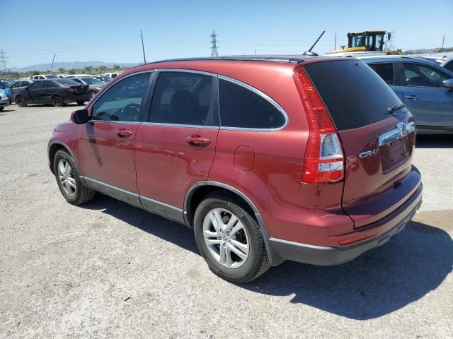 2010 Honda CR-V EXL