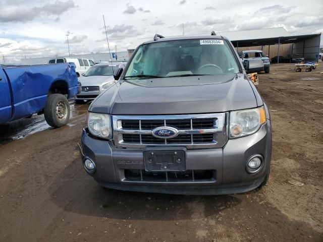 2011 Ford Escape XLT