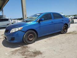 Salvage cars for sale at West Palm Beach, FL auction: 2010 Toyota Corolla