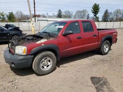 Dodge salvage cars for sale: 2007 Dodge Dakota Quattro